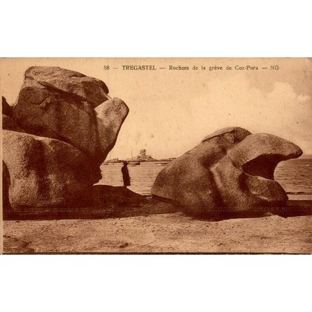 58 - TREGASTEL - Rochers de la Grève de Coz-Pors --ND