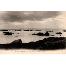 Carte postale ancienne Ile de Brehat flots du Kerpont LL