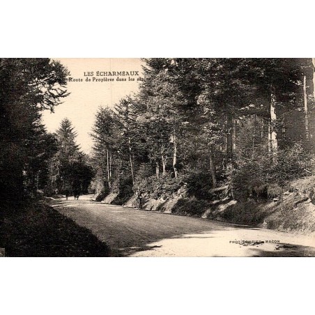 Carte postale ancienne Les Écharmeaux Route de Propière dans les sapins CPA Rhône