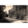 Carte postale ancienne Les Écharmeaux Route de Propière dans les sapins CPA Rhône