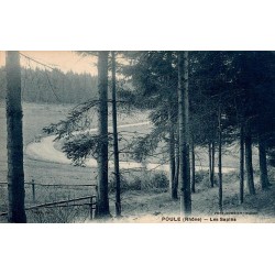 Carte postale ancienne Poule-les-Écharmeaux Les Sapins CPA Rhône