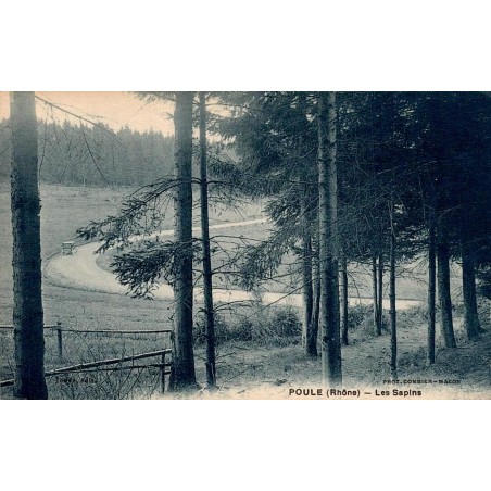 Carte postale ancienne Poule-les-Écharmeaux Les Sapins CPA Rhône