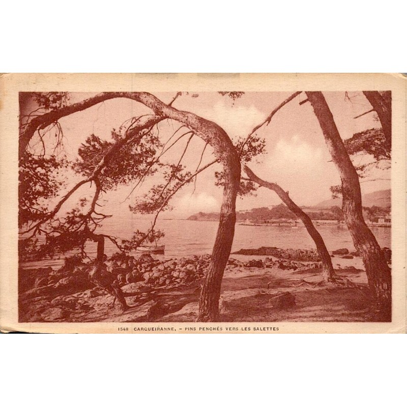 Carte postale ancienne Carqueiranne Pins penchés vers Les Salettes CPA Var