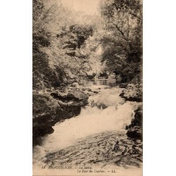 Carte postale ancienne Draguignan La Molie Le Saut du Capelan
