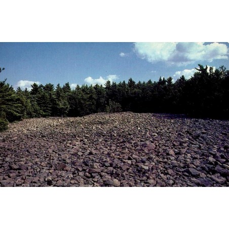 Carte postale ancienne Lourdes Champs des Guérets UNIC