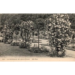 Carte postale ancienne Paris Roseraie de Bagatelle édition ND Phot