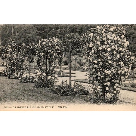 Carte postale ancienne Paris Roseraie de Bagatelle édition ND Phot
