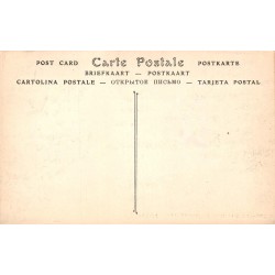 Carte postale ancienne Paris La Roseraie de Bagatelle
