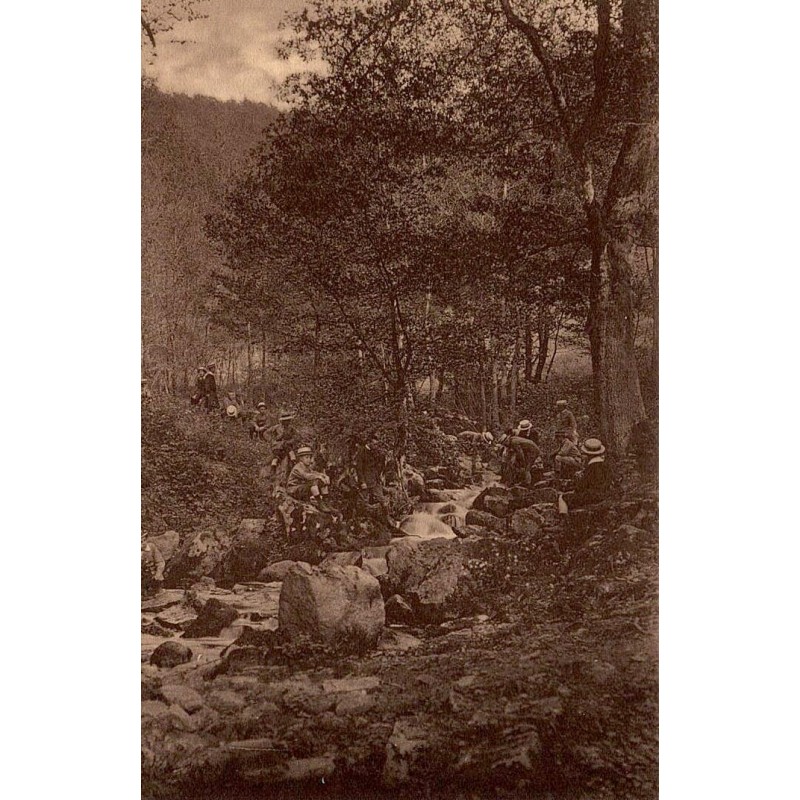 Carte postale ancienne Autun Petit Séminaire promenade de Brisecou sous-bois