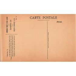 Carte postale ancienne Petit Séminaire d’Autun Mont Dru