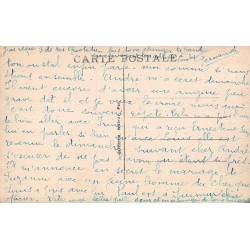Carte postale ancienne Argelès-Gazost Un coin du parc