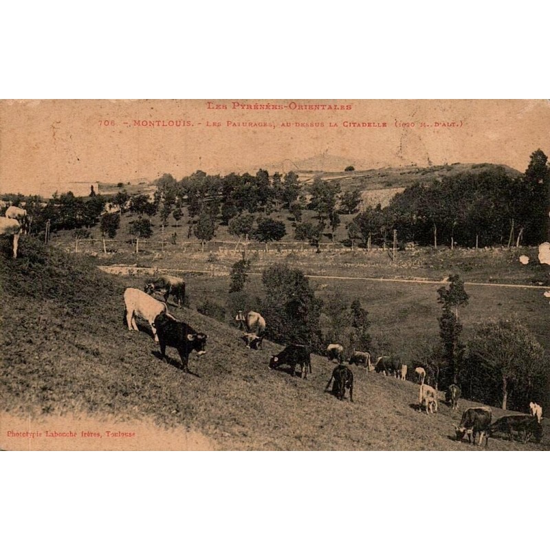 106 - MONTLOUIS, les Pâturages au dessus de la Citadelle (1020m)