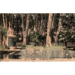 957 - Perpignan - Les Cygnes des Platanes