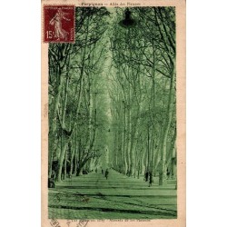 Carte postale ancienne Perpignan Allée des Platanes