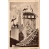 Carte postale ancienne Strasbourg Un nid de cigognes Bas-Rhin