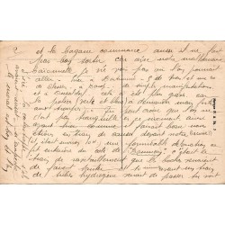 Carte postale ancienne Strasbourg Un nid de cigognes