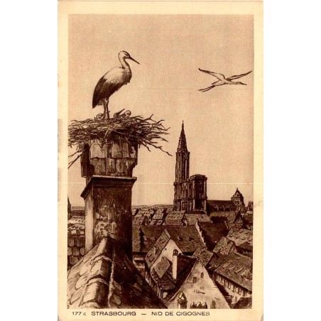 177 - STRASBOURG - Nid De Cigognes