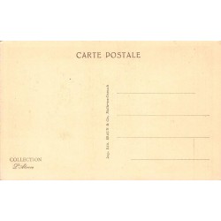 Carte postale ancienne Strasbourg Orangerie La Gänseliesel