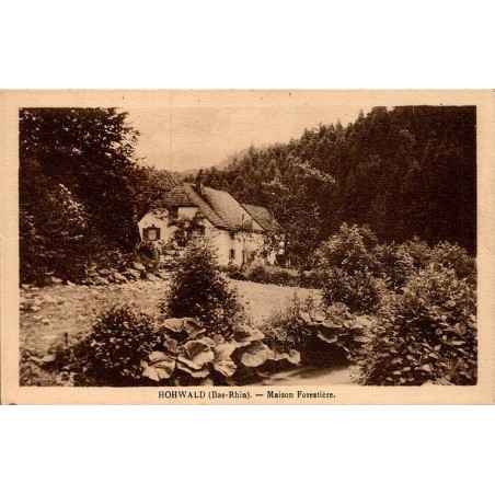 Carte postale ancienne Le Hohwald Maison Forestière en Alsace
