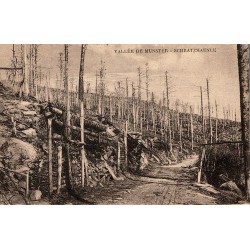 Carte postale ancienne Vallée de Munster Schratzmaenle en Alsace