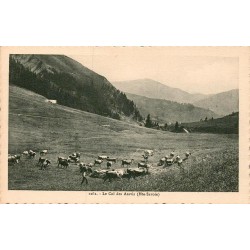 Carte postale ancienne Col des Aravis Haute-Savoie vue alpine et panorama du Mont-Blanc