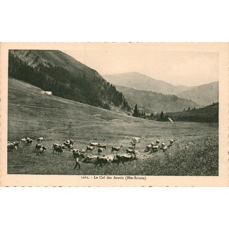 Carte postale ancienne Col des Aravis Haute-Savoie vue alpine et panorama du Mont-Blanc