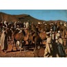 Maroc Pittoresque - Marché aux dromadaires