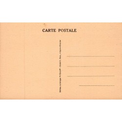 Carte Postale Ancienne Avignon Vaucluse 84 Le Pont Saint-Bénézet