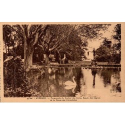 Carte postale ancienne Avignon Rocher des Doms Vénus aux Hirondelles