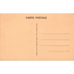 Carte Postale Ancienne Avignon Vaucluse 84 Tourelles de la Porte Jaurès
