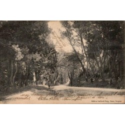 Carte postale ancienne Sorgues La Serre sous-bois Vaucluse