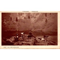 Carte postale ancienne Lac des Perches Haut-Rhin 68