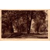Carte postale ancienne Contrexéville Le Parc Fleuri Vosges 88