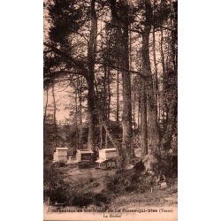 Carte postale ancienne La Pierre-qui-Vire Yonne le rucher du monastère Sainte-Marie