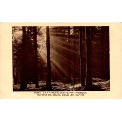 Carte postale ancienne Franche-Comté rayons de soleil sous les sapins