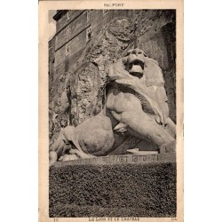 Carte postale ancienne Belfort Territoire de Belfort le Lion et le Château