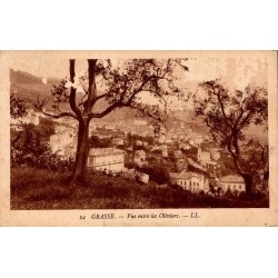 Carte postale ancienne Grasse vue entre les oliviers Alpes-Maritimes LL