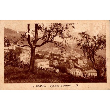 Carte postale ancienne Grasse vue entre les oliviers Alpes-Maritimes LL