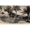Carte postale ancienne Nice les Nouveaux Jardins Casino entre les palmiers Alpes-Maritimes