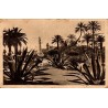 Carte postale ancienne Nice les Jardins Albert Ier Côte d’Azur Artistique Alpes-Maritimes