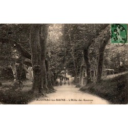 Carte postale ancienne Audinac-les-Bains l’Allée des Sources Ariège