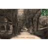 Carte postale ancienne Audinac-les-Bains l’Allée des Sources Ariège