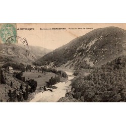 Carte postale ancienne Pierrefort vallée du Pont de Tréboul Cantal CPA