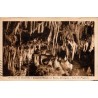 Carte postale ancienne des Eyzies représentant la salle des Pingouins dans la grotte du Grand Roc à Laugerie-Basse