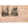 Carte postale ancienne de Périgueux représentant les allées de Tourny en Dordogne