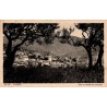 Carte postale ancienne de Nyons montrant un panorama à travers les oliviers dans la Drôme provençale