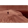 Carte postale ancienne Arcachon revenant de la Grande Dune du Pyla