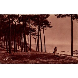 Carte postale ancienne Arcachon forêt des Abatilles plage vers le Moulleau