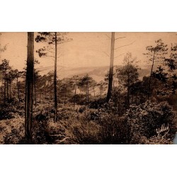 Carte postale ancienne Le Pilat Bassin d’Arcachon plus hautes dunes de sable d’Europe