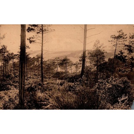 Carte postale ancienne Le Pilat Bassin d’Arcachon plus hautes dunes de sable d’Europe